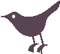 Profile_bird